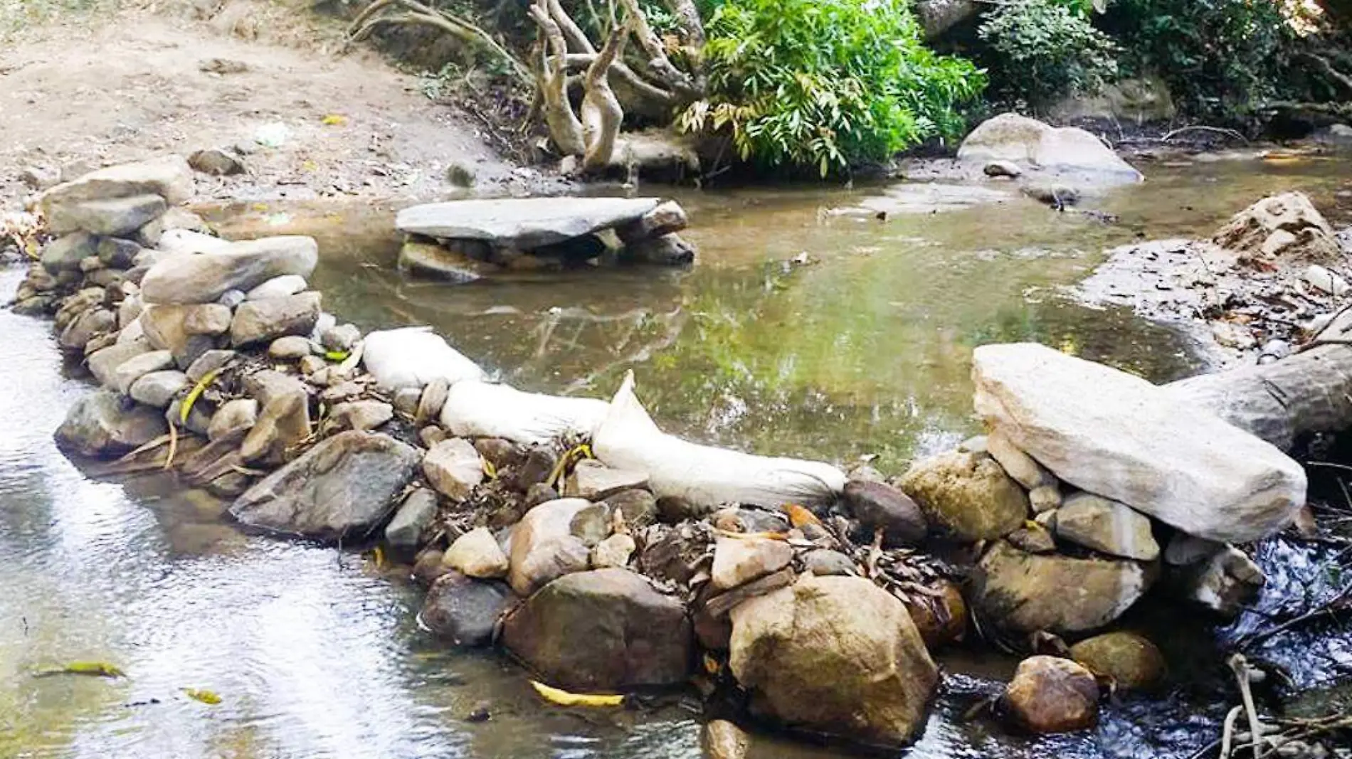 represas en río tecoanapa